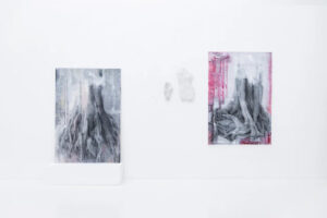 Два дерева на одной стене и слепок // Катя-Анна Тагути. Галерея a-s-t-r-a. 2022